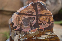 Polished On One Side Nguni Jasper x 2 From Prieska, South Africa