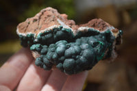 Natural A Grade Ball Malachite on Quartz Matrix x 3 From Kambove, Congo