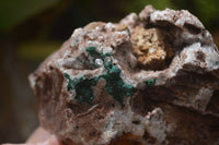 Natural A Grade Ball Malachite on Quartz Matrix x 3 From Kambove, Congo