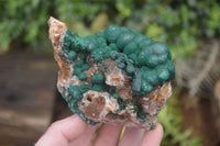 Natural A Grade Ball Malachite on Quartz Matrix x 3 From Kambove, Congo