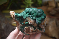 Natural A Grade Ball Malachite on Quartz Matrix x 3 From Kambove, Congo