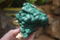 Natural A Grade Ball Malachite on Quartz Matrix x 3 From Kambove, Congo