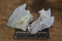 Natural Etched Blue Chalcedony Specimens x 12 From Nsanje, Malawi