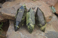 Polished Leopard Stone Double Terminated Points x 6 From Zimbabwe