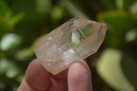 Natural Assortment Of Quartz Crystals x 35 From Southern Africa