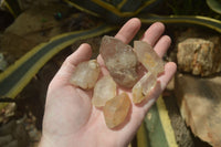 Natural Assortment Of Quartz Crystals x 35 From Southern Africa