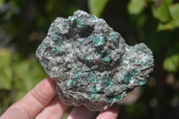 Natural Rare Emerald Mica In Matrix Specimens x 5 From Mutoko, Zimbabwe