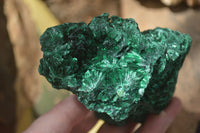 Natural Silky Malachite Specimens x 2 From Kasompe, Congo