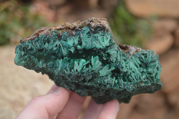 Natural Silky Malachite Specimens x 2 From Kasompe, Congo