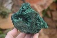 Natural Silky Malachite Specimens x 2 From Kasompe, Congo