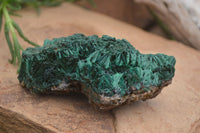 Natural Silky Malachite Specimens x 2 From Kasompe, Congo