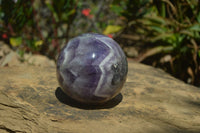 Polished Chevron Amethyst Sphere x 1 from Madagascar