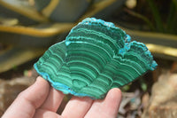 Polished Malacolla Slices x 6 From Kalukundi Mine, Congo