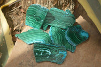 Polished Malacolla Slices x 6 From Kalukundi Mine, Congo