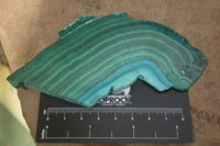 Polished Malacolla Slices x 6 From Kalukundi Mine, Congo