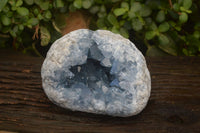 Natural Celestite Geode Specimen x 1 From Sakoany, Madagascar