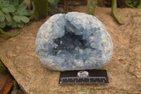 Natural Celestite Geode Specimen x 1 From Sakoany, Madagascar