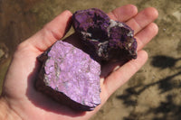 Natural Metallic Purpurite Cobbed Specimens x 12 From Erongo, Namibia