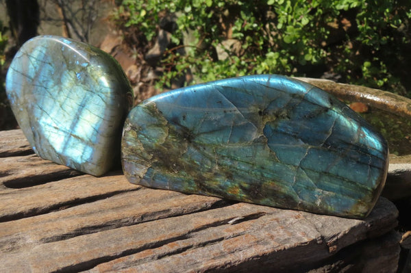 Polished Labradorite Standing Free Forms x 2 From Tulear, Madagascar