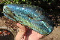 Polished Labradorite Standing Free Forms x 2 From Tulear, Madagascar