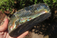 Polished Labradorite Standing Free Forms x 2 From Tulear, Madagascar