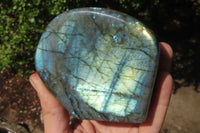 Polished Labradorite Standing Free Forms x 2 From Tulear, Madagascar