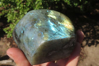 Polished Labradorite Standing Free Forms x 2 From Tulear, Madagascar