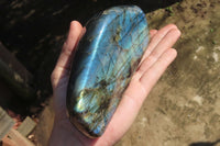 Polished Labradorite Standing Free Forms x 2 From Tulear, Madagascar