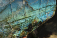 Polished Labradorite Standing Free Forms x 2 From Tulear, Madagascar