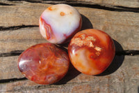 Polished Carnelian Palm Stones x 24 From Madagascar