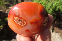 Polished Carnelian Palm Stones x 24 From Madagascar