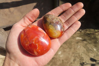 Polished Carnelian Palm Stones x 24 From Madagascar