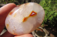 Polished Carnelian Palm Stones x 24 From Madagascar