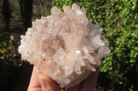 Natural Clear Quartz Crystal Clusters x 4 From Madagascar