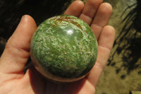 Polished Chrysoprase Spheres x 6 From Ambatondrazaka, Madagascar