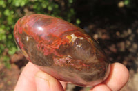 Polished Red Podocarpus Petrified Wood Palm Stones x 12 From Madagascar