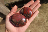 Polished Red Podocarpus Petrified Wood Palm Stones x 12 From Madagascar