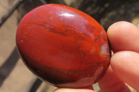 Polished Red Podocarpus Petrified Wood Palm Stones x 12 From Madagascar