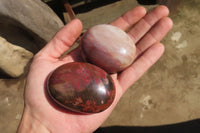 Polished Red Podocarpus Petrified Wood Palm Stones x 12 From Madagascar