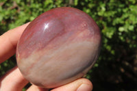 Polished Red Podocarpus Petrified Wood Palm Stones x 12 From Madagascar