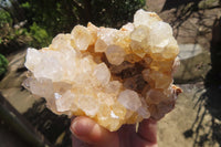 Natural Limonite Quartz Clusters x 4 From Zambia