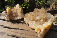 Natural Limonite Quartz Clusters x 4 From Zambia