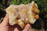 Natural Limonite Quartz Clusters x 4 From Zambia