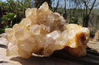 Natural Limonite Quartz Clusters x 4 From Zambia