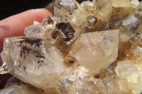 Natural Limonite Quartz Clusters x 4 From Zambia