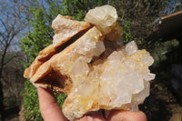 Natural Limonite Quartz Clusters x 4 From Zambia