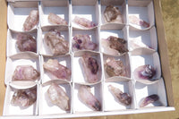 Natural Window Amethyst Crystals x 20 From Chiredzi, Zimbabwe