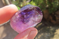 Natural Window Amethyst Crystals x 20 From Chiredzi, Zimbabwe