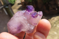 Natural Window Amethyst Crystals x 20 From Chiredzi, Zimbabwe