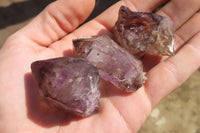 Natural Window Amethyst Crystals x 20 From Chiredzi, Zimbabwe